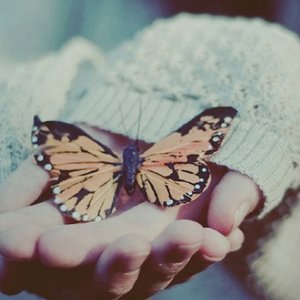 客户系统小蛙导航
