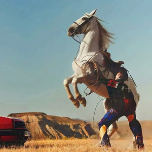 客户系统小蛙导航
