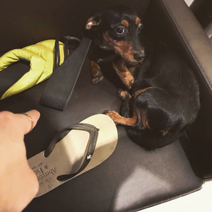 客户系统小蛙导航
