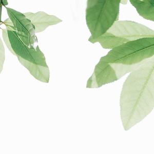 客户系统小蛙导航
